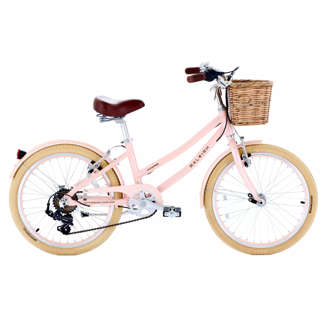 Childrens Bike (20 inch and up)